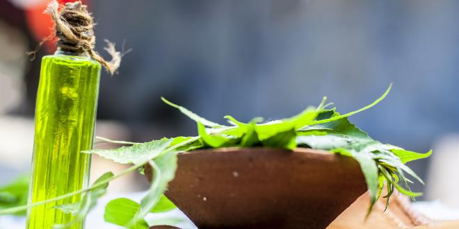 neem leaves and a prepared oil